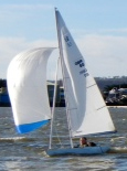 Illusion Spinnaker